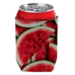 Watermelon Fruit Green Red Can Holder