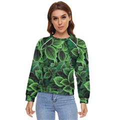 Shanghai Botanical Garden Women s Long Sleeve Raglan T-shirt