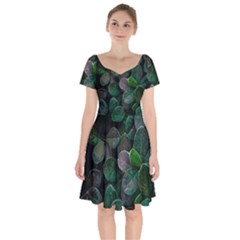 Dark Nature , Nature, Edeg Short Sleeve Bardot Dress