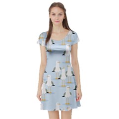 Cute Seagulls Seamless Pattern Light Blue Background Short Sleeve Skater Dress by Bedest