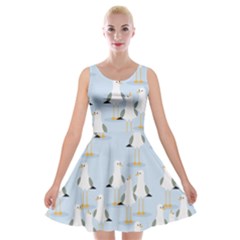 Cute Seagulls Seamless Pattern Light Blue Background Velvet Skater Dress by Bedest
