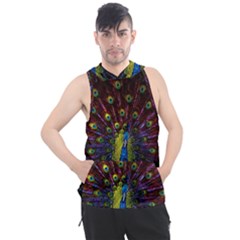 Beautiful Peacock Feather Men s Sleeveless Hoodie by Ket1n9