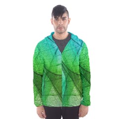 Sunlight Filtering Through Transparent Leaves Green Blue Men s Hooded Windbreaker