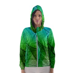 Sunlight Filtering Through Transparent Leaves Green Blue Women s Hooded Windbreaker by Ket1n9