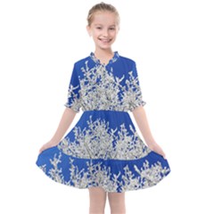 Crown Aesthetic Branches Hoarfrost Kids  All Frills Chiffon Dress by Ket1n9