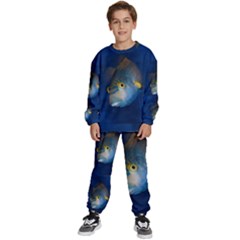 Fish Blue Animal Water Nature Kids  Sweatshirt Set