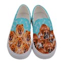 Aqua & Brown Dogs Pattern Stok Animals Womens Slip Ons View1