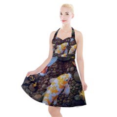 Koi Fish Clown Pool Stone Halter Party Swing Dress  by Cemarart