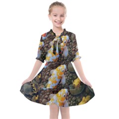 Koi Fish Clown Pool Stone Kids  All Frills Chiffon Dress by Cemarart