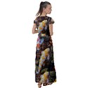 Koi Fish Clown Pool Stone Flutter Sleeve Maxi Dress View2