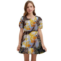 Koi Fish Clown Pool Stone Kids  Short Sleeve Dolly Dress by Cemarart