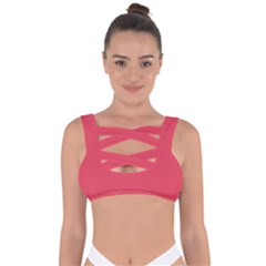 Pink, Color, Background, Monochromic, Minimalism Bandaged Up Bikini Top