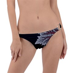 The Overworld Aurora Subnautica Ring Detail Bikini Bottoms by Bedest