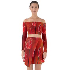Flowers Red Off Shoulder Top With Skirt Set by Askadina
