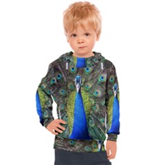 Peacock Bird Feathers Pheasant Nature Animal Texture Pattern Kids  Hooded Pullover by Bedest