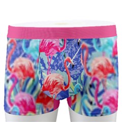 Flamingo Men s Boxer Briefs