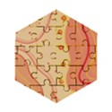 Lines Abstract Colourful Design Wooden Puzzle Hexagon View1