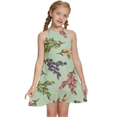 Berries Flowers Pattern Print Kids  Halter Collar Waist Tie Chiffon Dress by Maspions