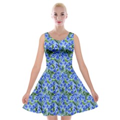 Blue Roses Garden Velvet Skater Dress