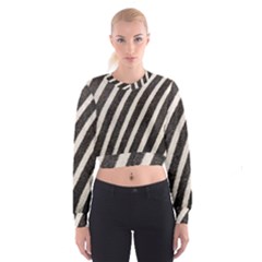 Zebra Zebra Pattern Zebra Fur Zebra Print Strip Cropped Sweatshirt by Azkajaya