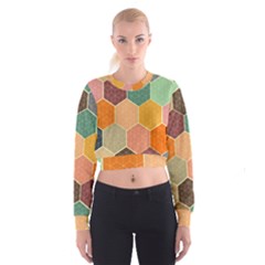 Hexagonal Pattern Vector Cropped Sweatshirt