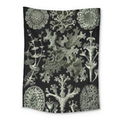 Weave Haeckel Lichenes Photobionten Medium Tapestry