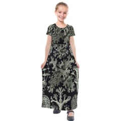 Weave Haeckel Lichenes Photobionten Kids  Short Sleeve Maxi Dress by Cemarart