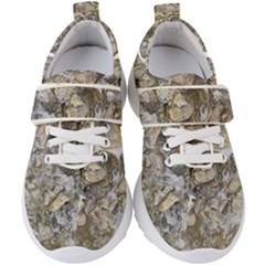 Fossilized Seashell Texture Print Design Bk Kids  Velcro Strap Shoes by dflcprintsclothing