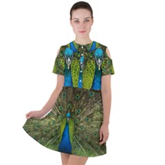 Peacock Feathers Bird Plumage Short Sleeve Shoulder Cut Out Dress 