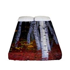 White Birch Trees Autumn Fitted Sheet (full/ Double Size) by Perong