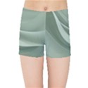 Silky Sage Abstract Elegant Print Design Kids  Sports Shorts View1