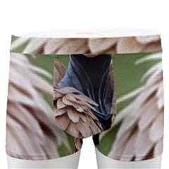 Digital Rebel (14) Men s Boxer Briefs