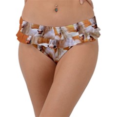 Seven Horses, Sun Frill Bikini Bottoms by kyorashop23