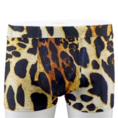 Leopard Skin Texture, Macro, Brown Men s Boxer Briefs