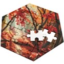 Forest Path Red Nature Wooden Puzzle Hexagon View2