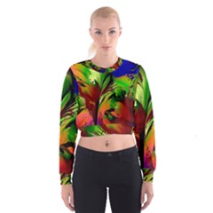 Splash Cropped Sweatshirt