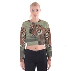 Swimming Tiger Cropped Sweatshirt