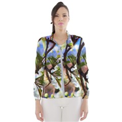 Springtime Pear Tree Blossoms Women s Windbreaker by ExtraGoodSauce