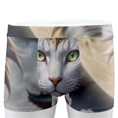 Epic Armored Cat Warrior Men s Boxer Briefs