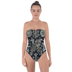 Weave Haeckel Lichenes Photobionten Tie Back One Piece Swimsuit