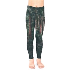 Forest Jungle Trees Tropics Kids  Leggings