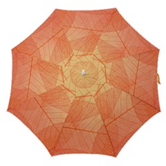 Abstract Texture Of Colorful Bright Pattern Of Transparent Leaves Of Orange And Yellow Color Straight Umbrellas by Posterlux