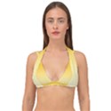 Amber Orange To Cream Yellow Linear Gradient Double Strap Halter Bikini Top View1