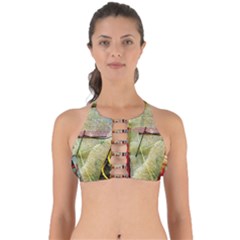 Fabrics Perfectly Cut Out Bikini Top