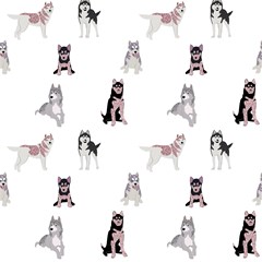 husky dogs with sparkles