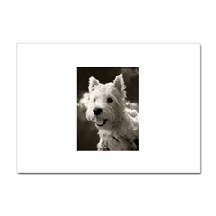 Westie Puppy 10 Pack A4 Sticker by Koalasandkangasplus