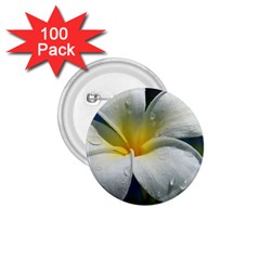 Frangipani Tropical Flower 100 Pack Small Button (round) by Koalasandkangasplus