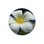 Frangipani tropical flower Large Sticker Magnet (Round) Front