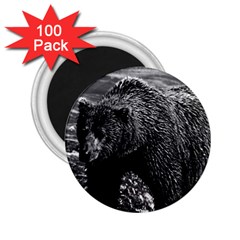 Vintage Usa Alaska Brown Bear 1970 100 Pack Regular Magnet (round) by Vintagephotos