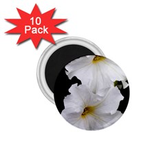 White Peonies   10 Pack Small Magnet (round) by Elanga